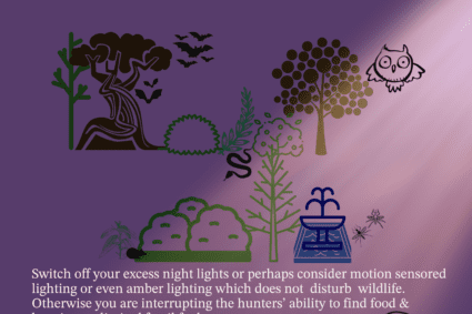 Be A Better Earthling by managing your night lighting in a way that helps the creatures on this planet.